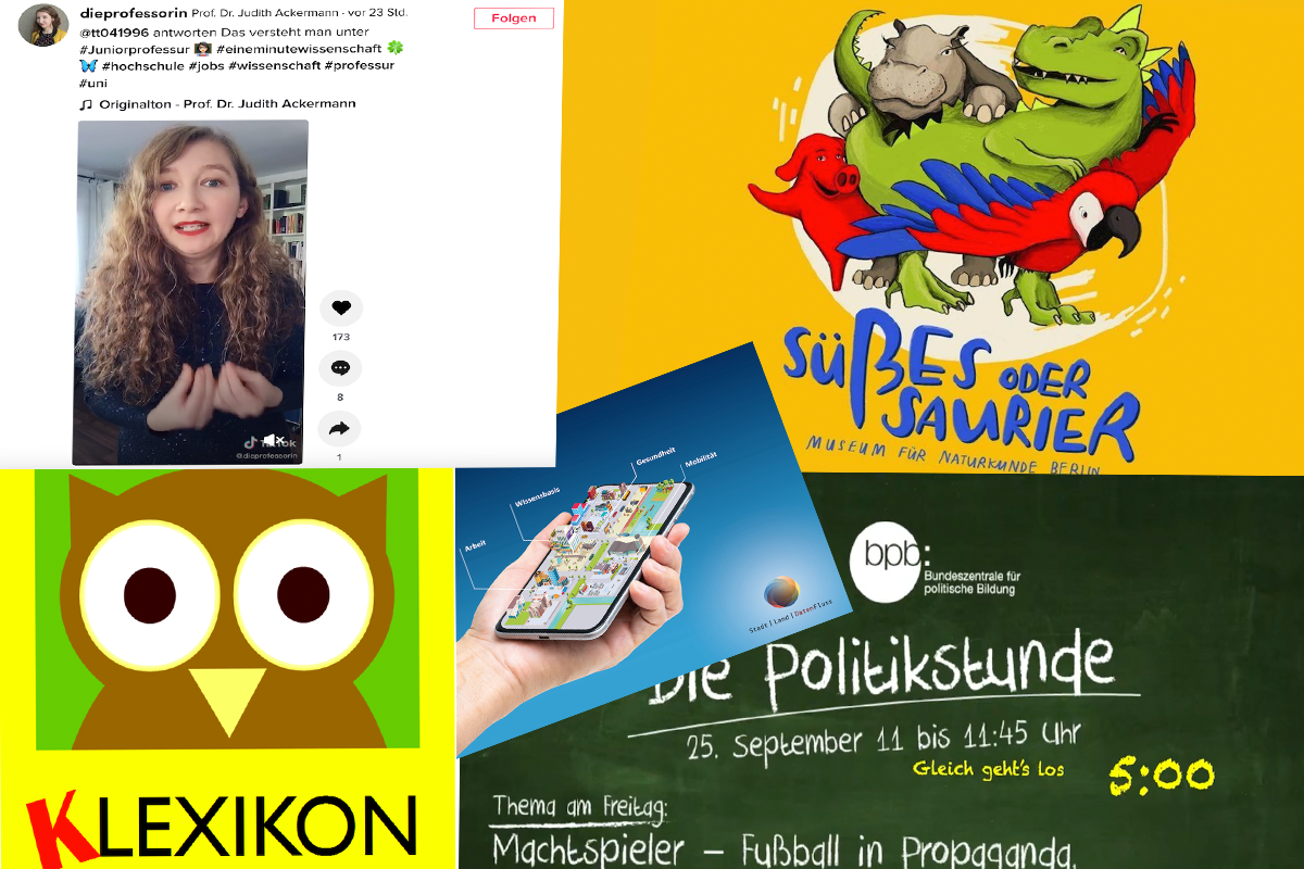 Collage Screenshots Websites zu Lernen: Marie-Luise Raupach/Grimme-Institut