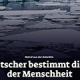 Screenshot “Das Ende vom ewigen Eis” vom Magazin des Tagesanzeigers